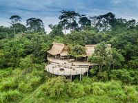 Lango Camp, on the edge of Lango Baï, offers one of the most arresting views of any camp in Africa. A magnetic attraction for huge flocks of Green Pigeons and African Grey Parrots as well as herds of Forest Buffalo and Forest Elephants, wraparound walkways and elevated chalets maximise the views.