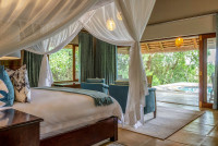 Savanna Suite 
