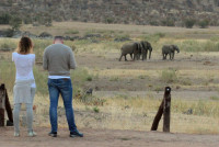 View from Lodge
