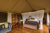 Dunia - Interior of room