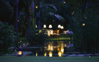 The Oasis