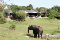 Safari Lodge