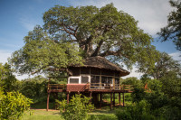 Suite Exterior
