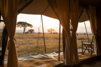 View from one of the tents