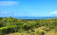 View of the lake from the cottages