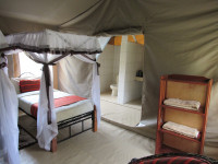 Single tent