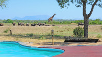 Tangala Pool