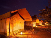Safari Tents