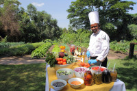 Organic Garden Dining