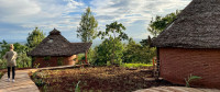 Bungalows