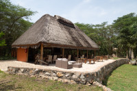Restaurant and  bar