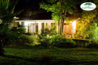 Eileen's Trees Inn