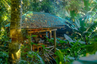 Bush Bar & Restaurant