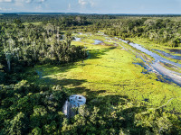 Lango Camp is in the south-central part of the Odzala-Kokoau National Park, and is built on 3-4 meter stilts overlooking the Lango Baï.