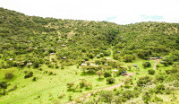 The Camp
