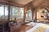 Views from the tent interior