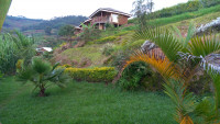 Compound