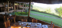 View from dining area