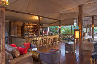 Neptune Mara Rianta Zebra Bar