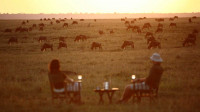 Sundowners in the Mara