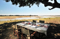 Bush brunch