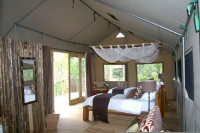 Elevated Premium (Twin Tent)Interior