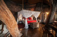 The Tree House bed amongst riverine ebony trees