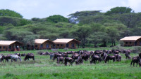 Tented Camp Overview