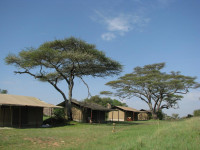 Camp overview
