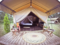 Luxury tent 