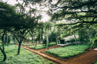 There is a magic under the canopy of the acacia trees