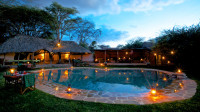 Pool and Lounge Area