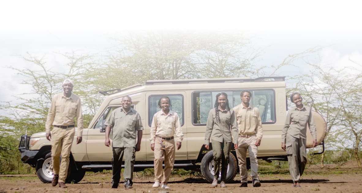 Safari team