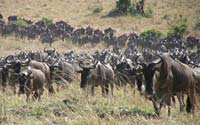 Kenya