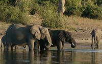Zambia
