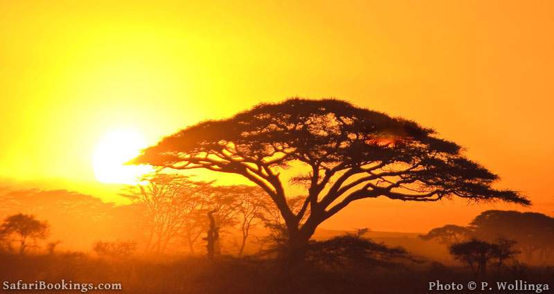 Sunset in Serengeti National Park, Tanzania