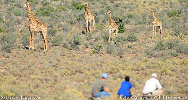 Sanbona Wildlife Reserve
