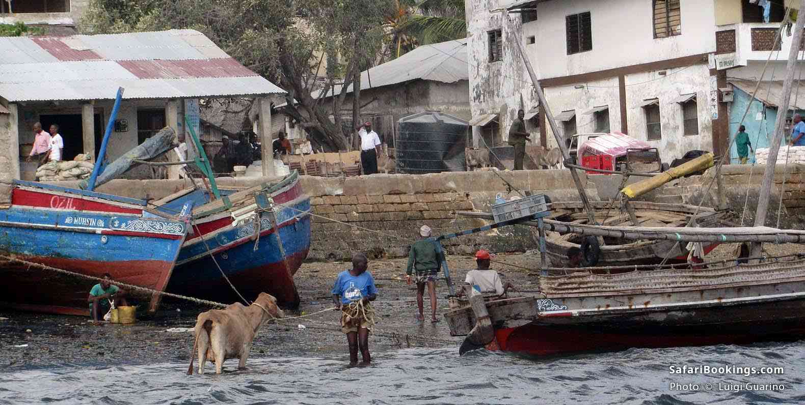 Coast view at Lamu's Old Town in Kenya