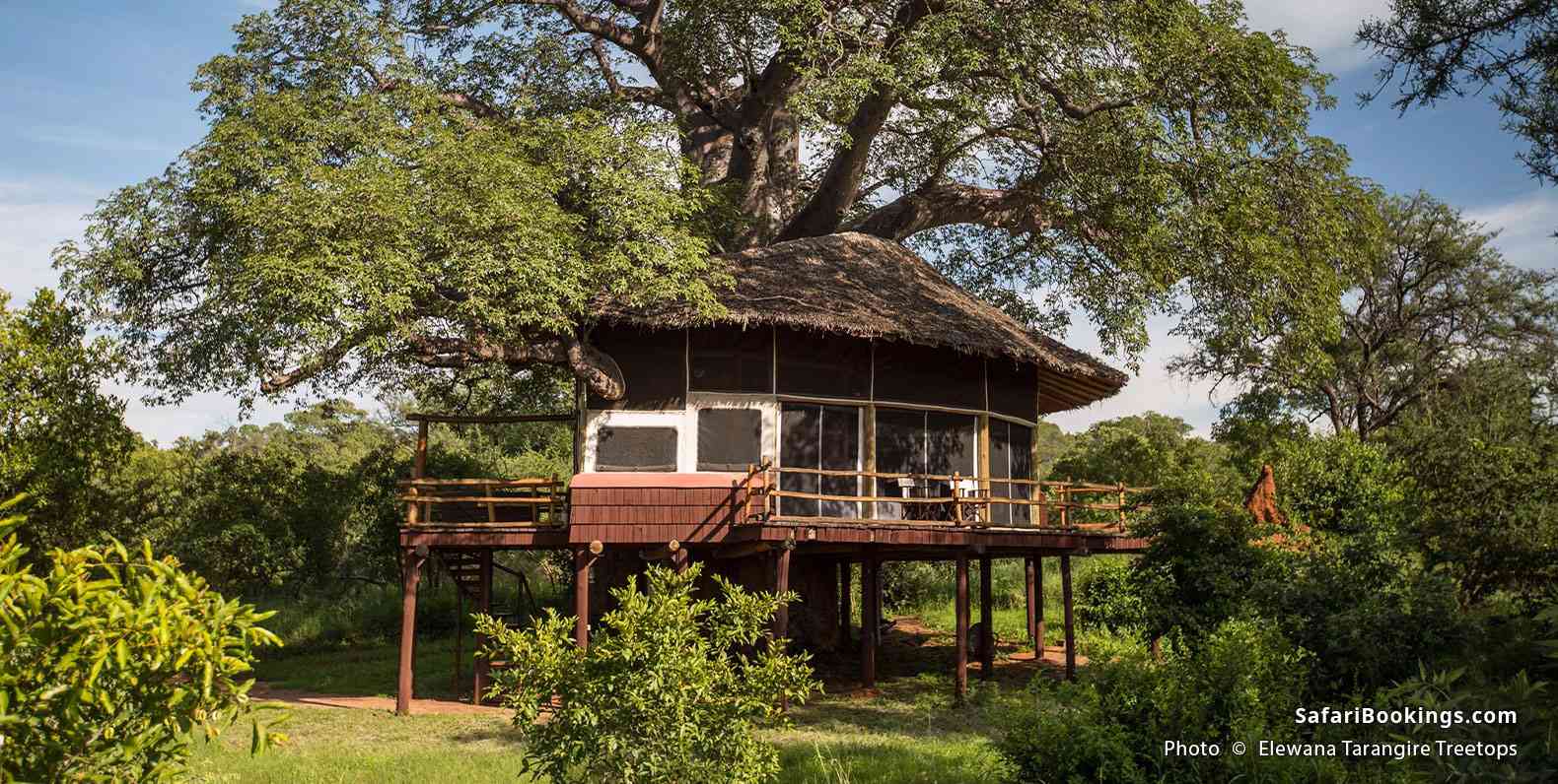 Elewana Tarangire Treetops