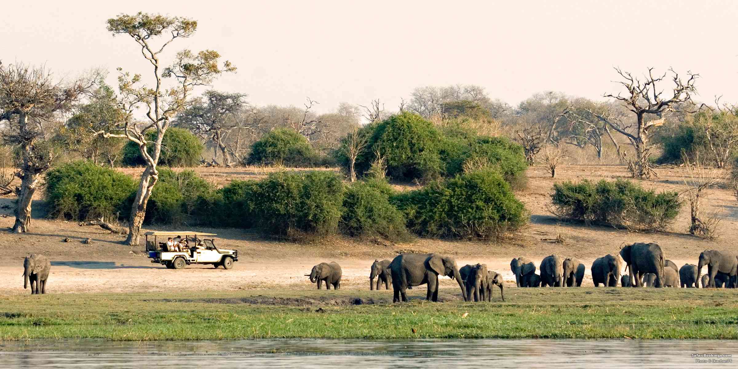 Top 10 Activities While on Safari