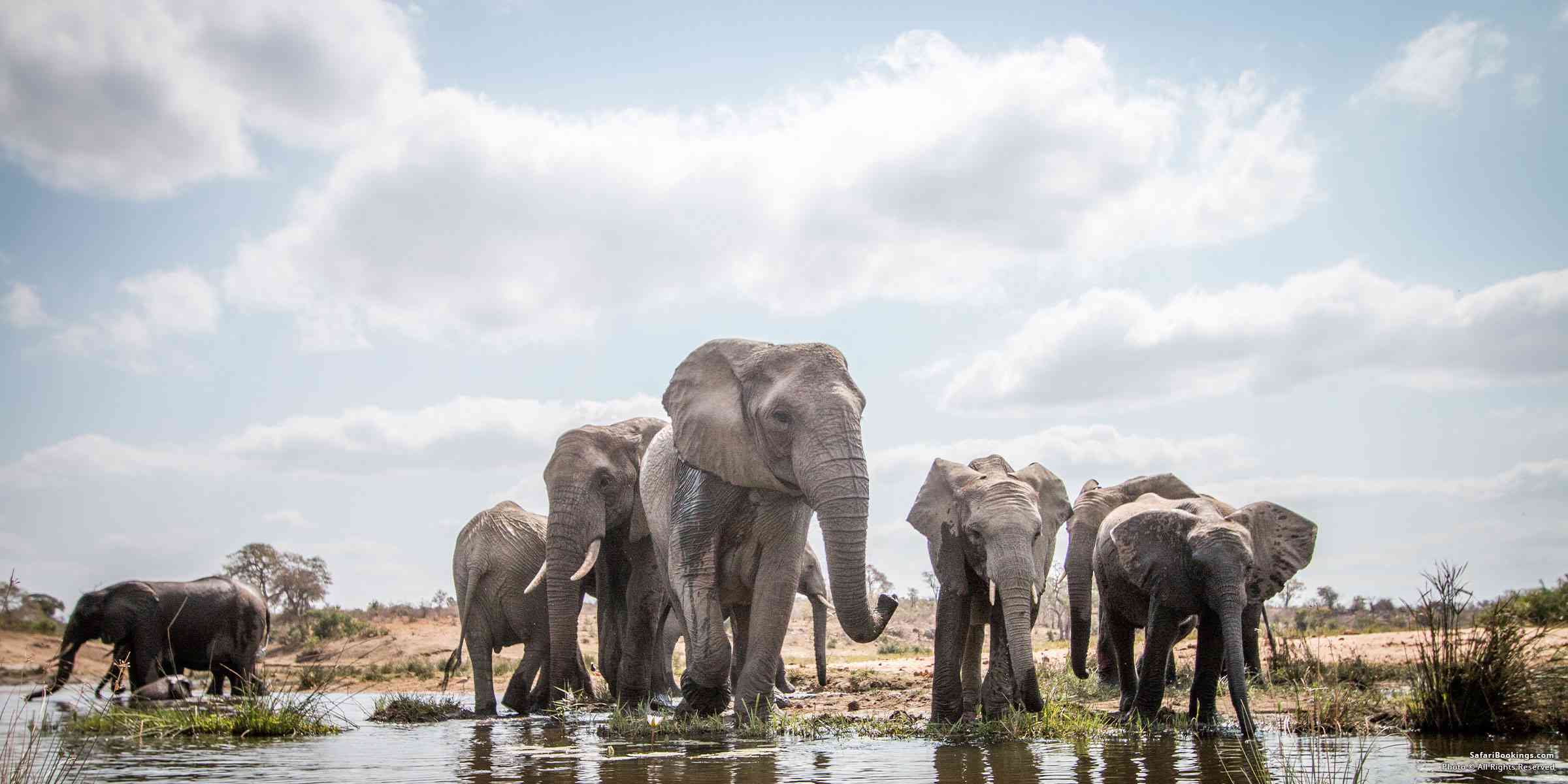 10 Most Beautiful & Interesting Places To Visit in South Africa