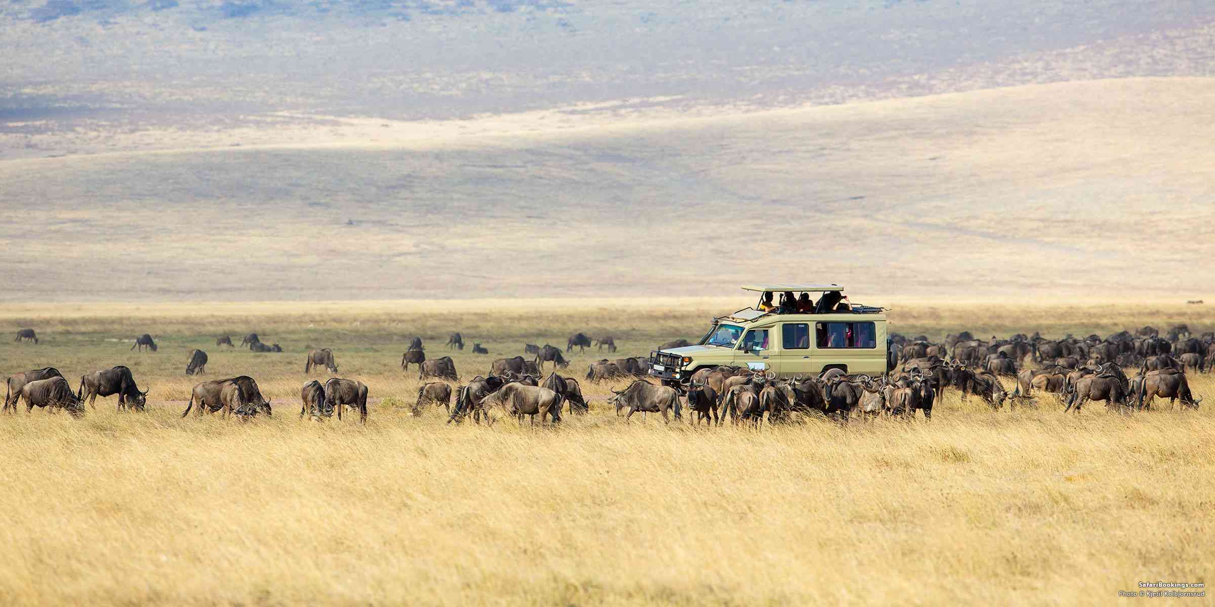 10 Most Beautiful & Interesting Places To Visit in Tanzania