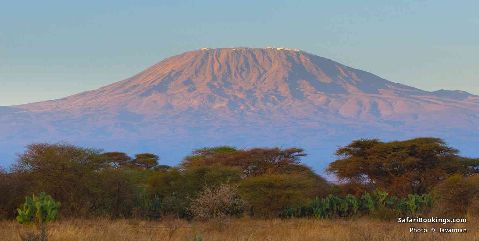 Kilimanjaro at sunrise