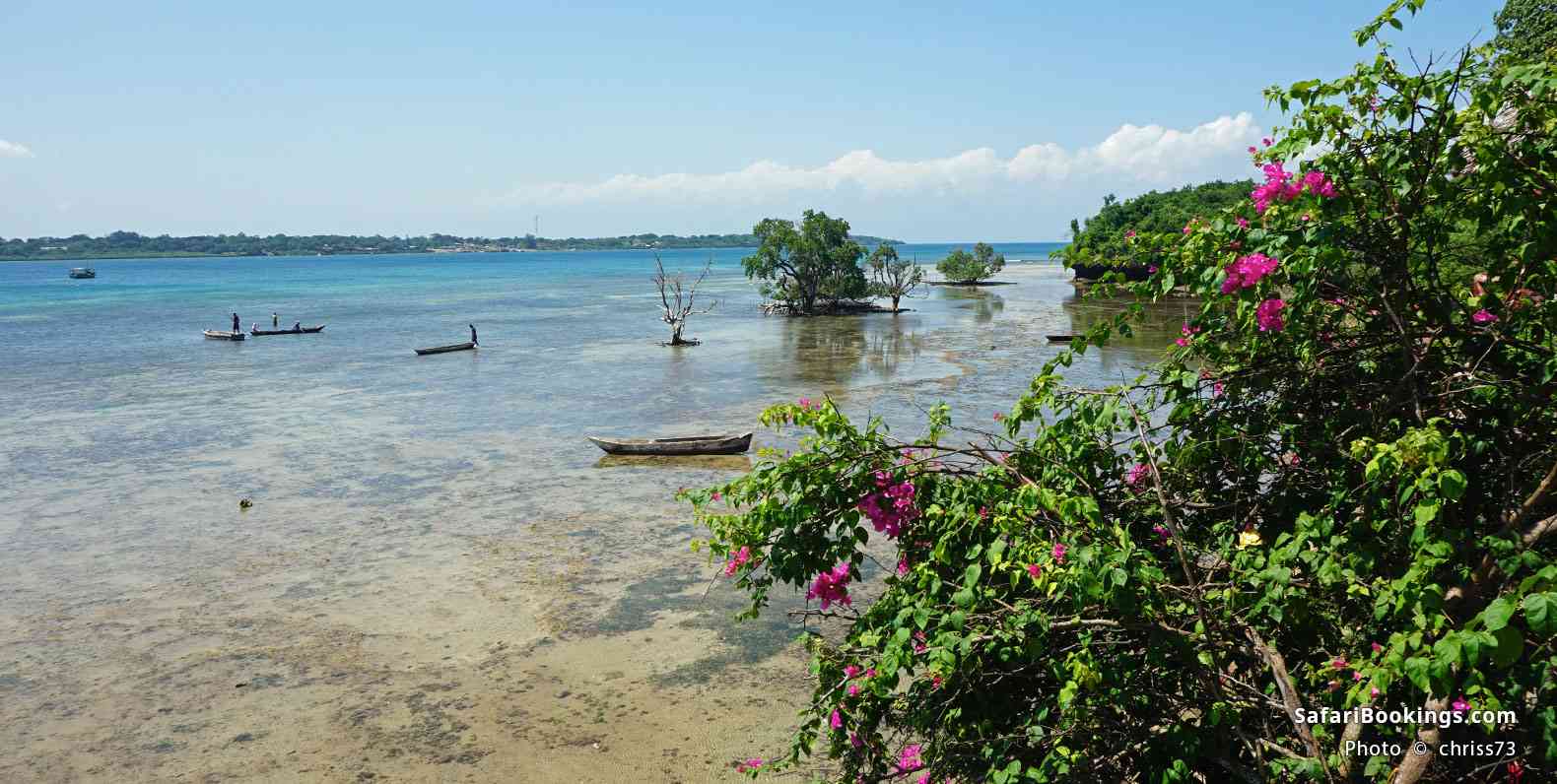 Wasini Island