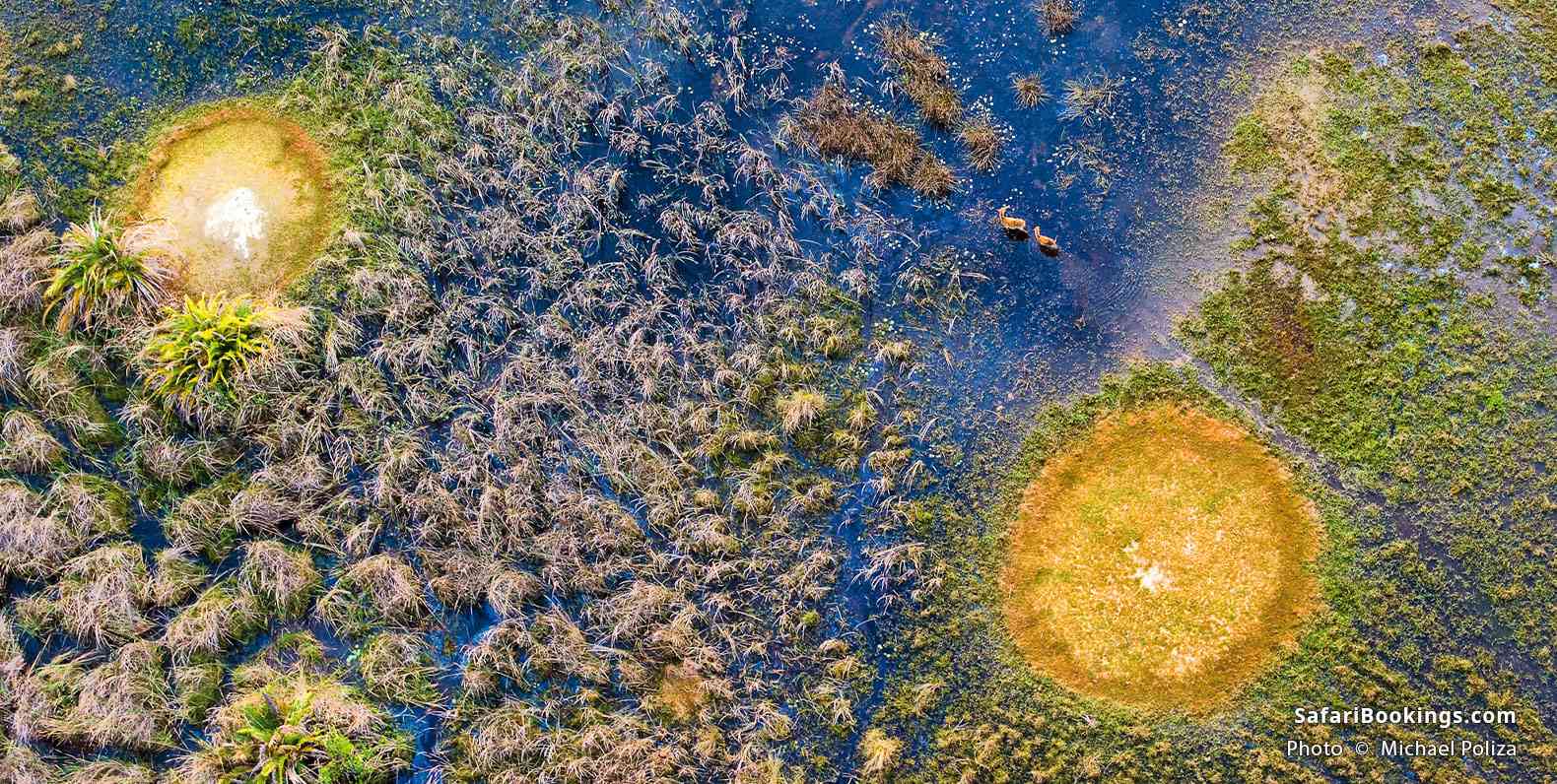 Aerial view of the Okavango Delta, Botswana