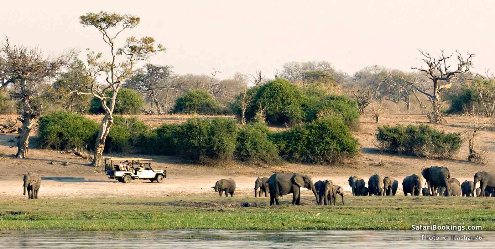 Game-drive vehicle on the Chobe riverfront, Botswana