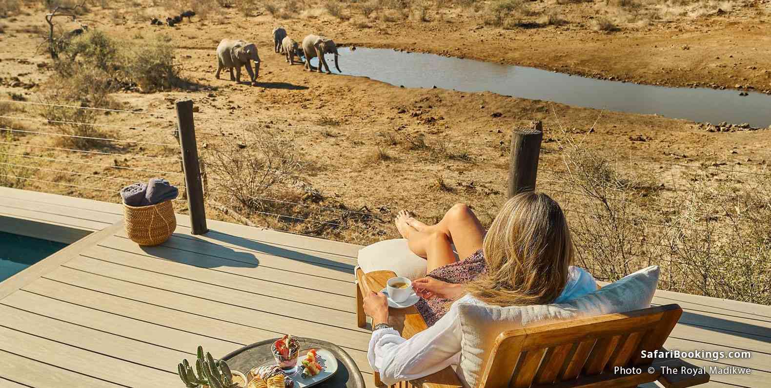 The Royal Madikwe