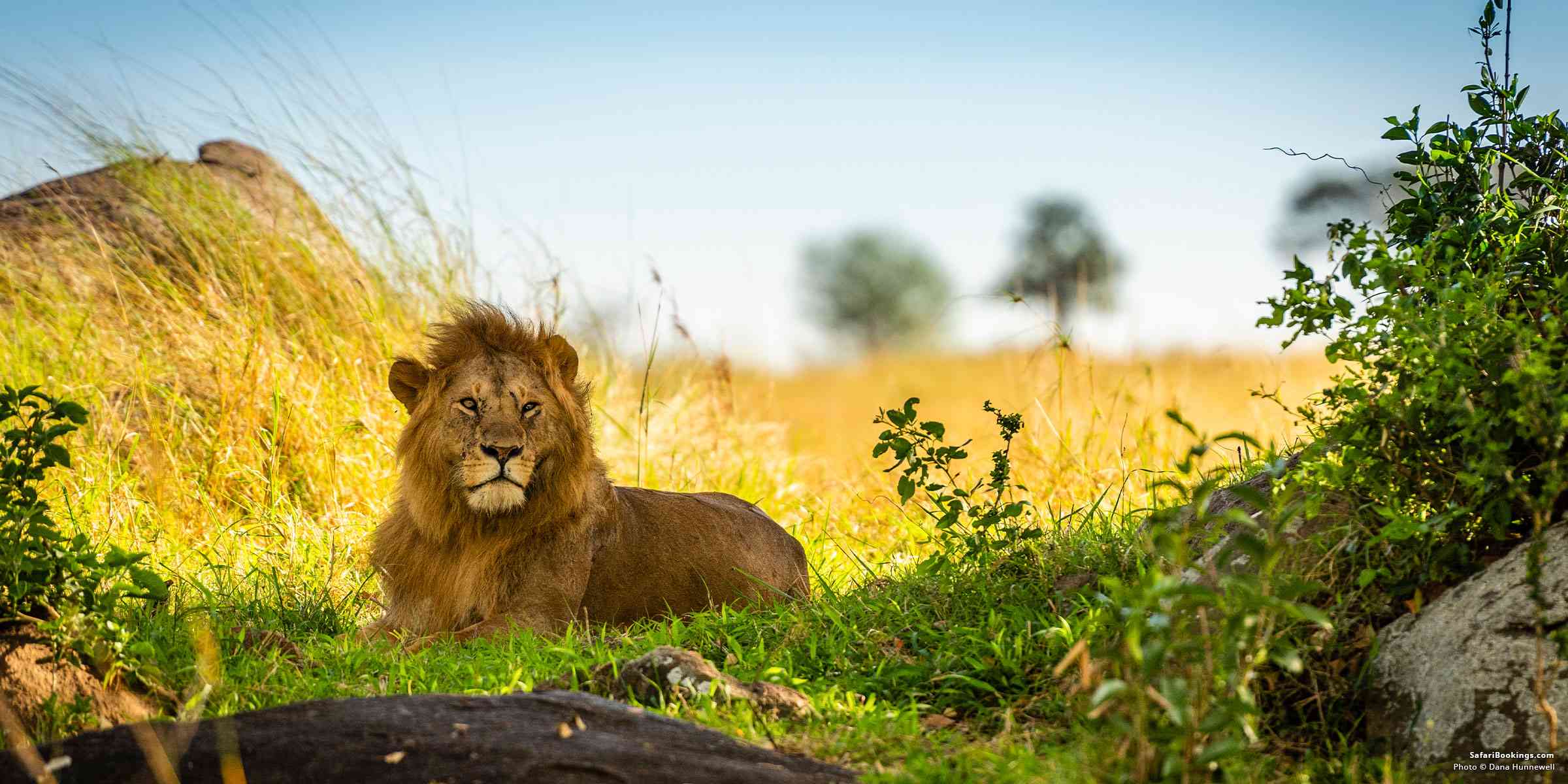 Top 10 Best Places To Visit in Africa in 2026