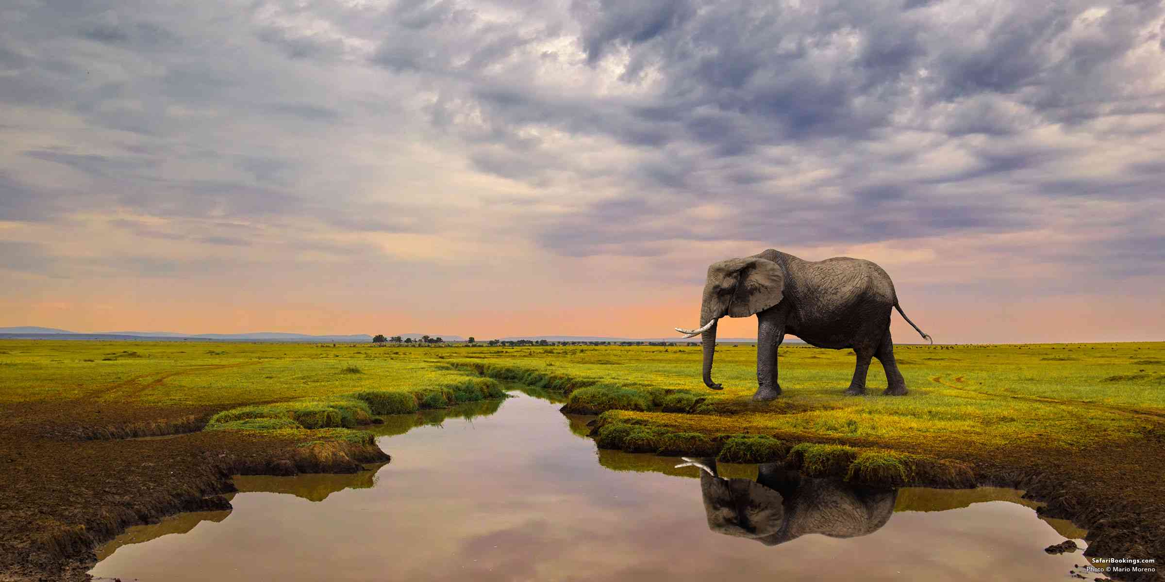 Guide to Visiting Masai Mara National Reserve – All You Need To Know