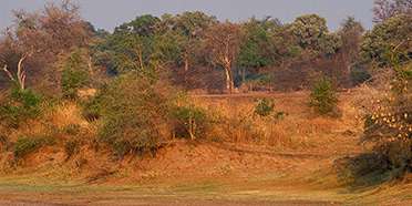 Lukusuzi National Park